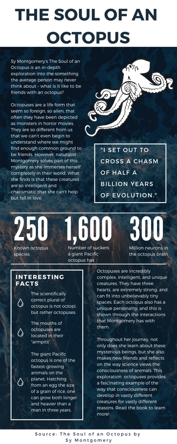 Sonia Jindal Midterm Project (Infographic).png