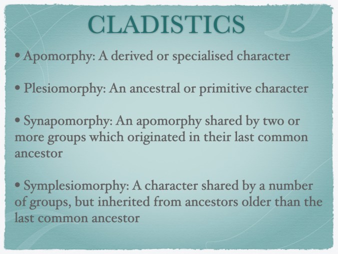 EvolutionaryComparativeNeurosciencePathwayCladistics Extract.001